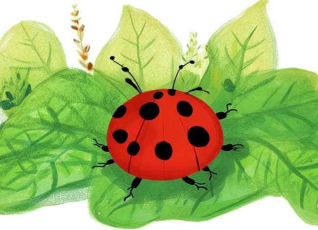 瓢虫的故事绘本,瓢虫的故事绘本故事内容 瓢虫的故事绘本,瓢虫的故事绘本故事内容