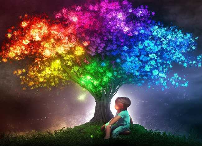 儿童故事七色花在线听（七色花的故事在线收听）