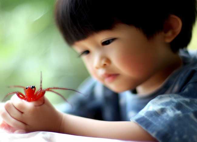 儿童蜘蛛痣（儿童蜘蛛痣不治行不行）