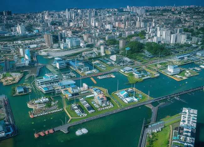 给儿童讲蝉的小故事，蝉的小故事100字