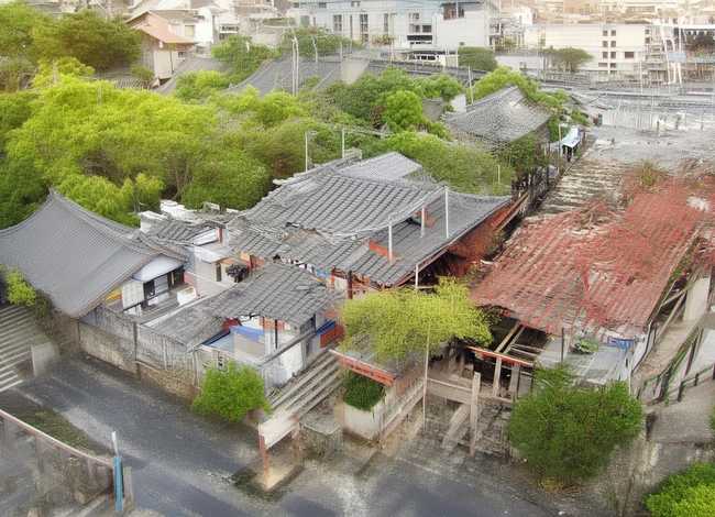 三只小猪儿童故事30字以内 - 三只小猪故事简短30字