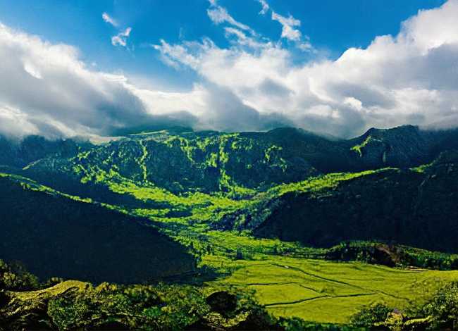 鲤鱼跳龙门图片；鲤鱼跳龙门图片高清