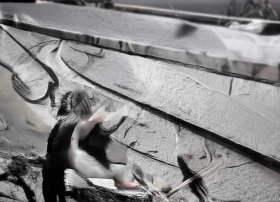 金种子的故事读后感 种金子读后感20字