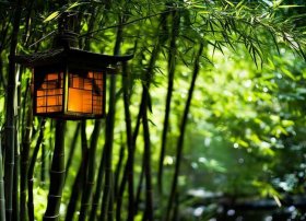 关于竹子的故事短故事；关于竹子的故事短故事大全