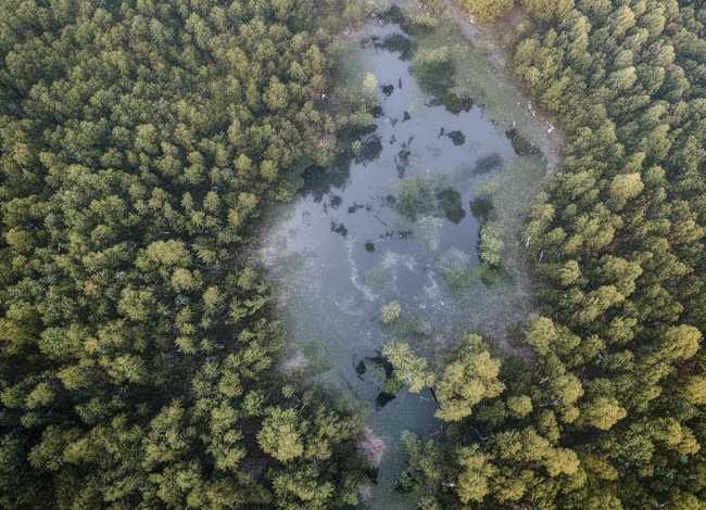 丽江故事传说；丽江的故事传说