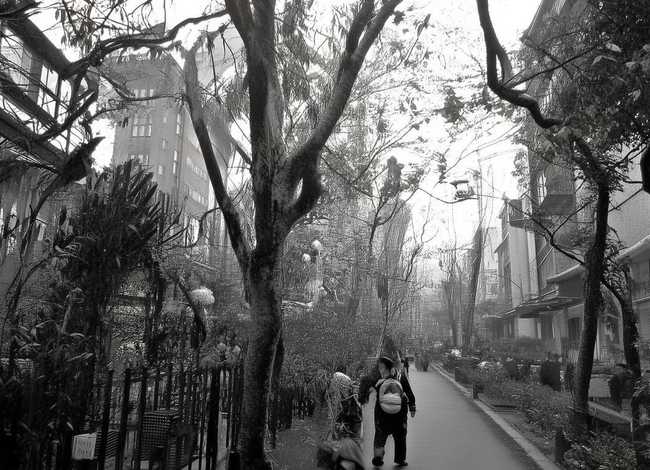 儿童成长故事视频大全,幼儿成长故事视频大全 儿童成长故事视频大全,幼儿成长故事视频大全