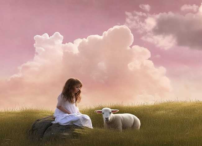 草故事配图;故事板草图 草故事配图;故事板草图