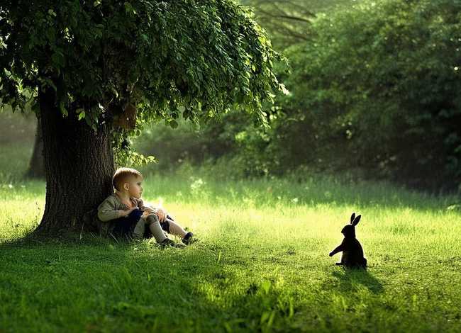 守株待兔儿童故事一年级简短例子、守株待兔的故事简短