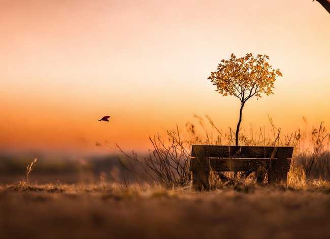 人生故事结束语、人生故事结束语简短 人生故事结束语、人生故事结束语简短