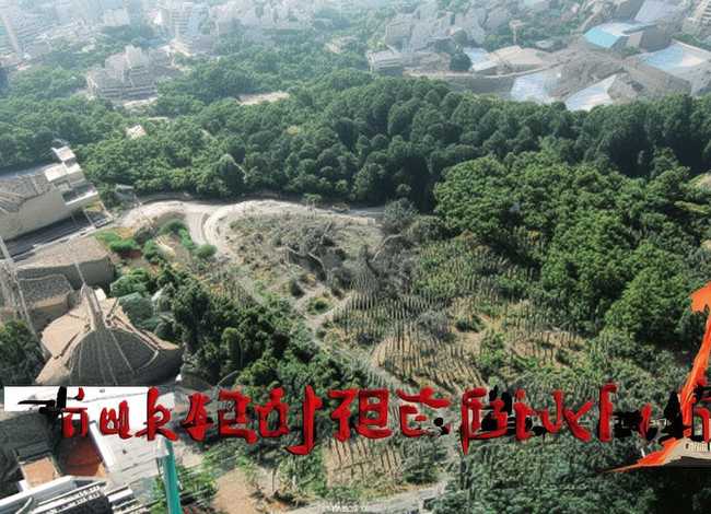 关于流浪儿童的纪录片 关于流浪儿童的纪录片叫什么