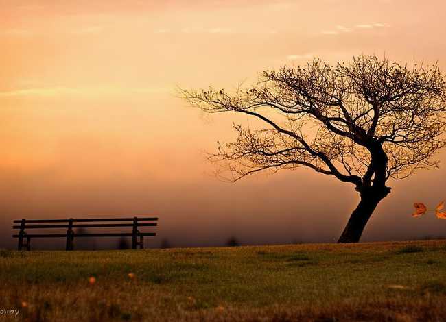 人生故事结束语、人生故事结束语简短 人生故事结束语、人生故事结束语简短