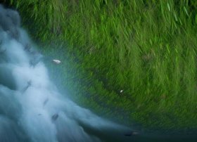 关于昆明的童谣 关于昆明的童谣歌曲