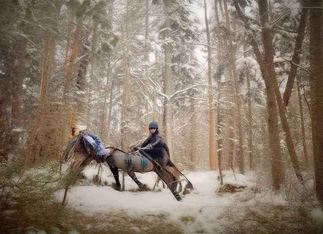 儿童故事联播在线试听 幼儿故事联播