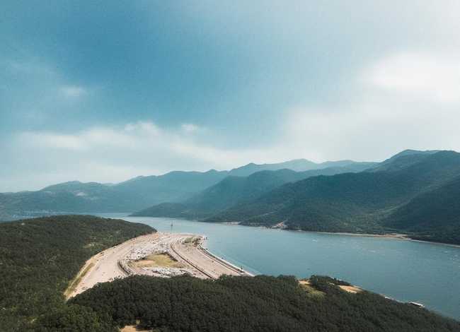 大象的故事励志故事，大象的故事励志故事大全