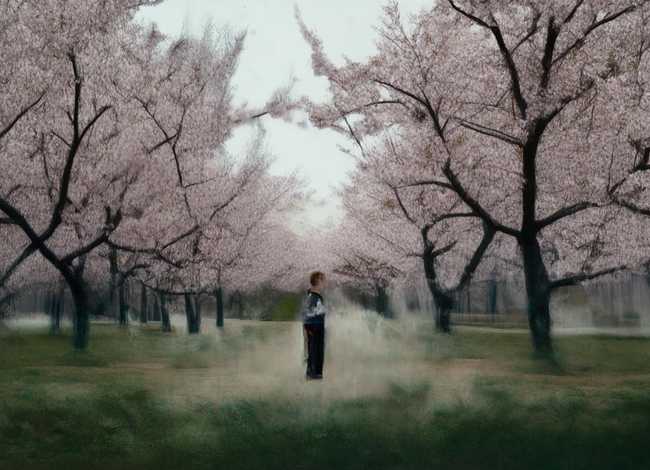 樱花校园毒害儿童,樱花校园病毒版 樱花校园毒害儿童,樱花校园病毒版