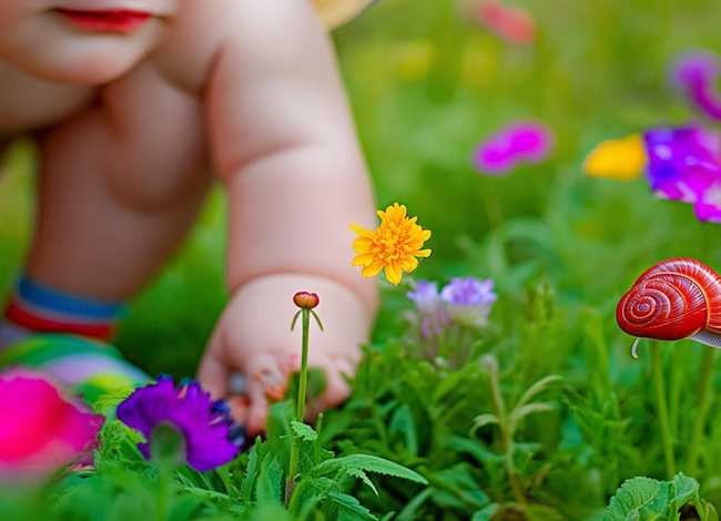 儿童关于蜗牛的简短小故事 关于蜗牛的幼儿小故事 儿童关于蜗牛的简短小故事 关于蜗牛的幼儿小故事