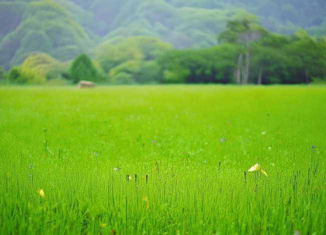 短篇儿童故事大全,短篇儿童故事大全小蜗牛 短篇儿童故事大全,短篇儿童故事大全小蜗牛