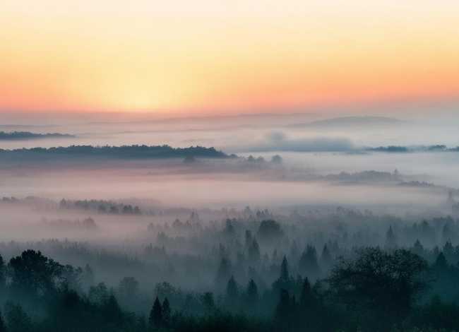黄山的故事简介二十字 - 黄山的故事简介二十字作文