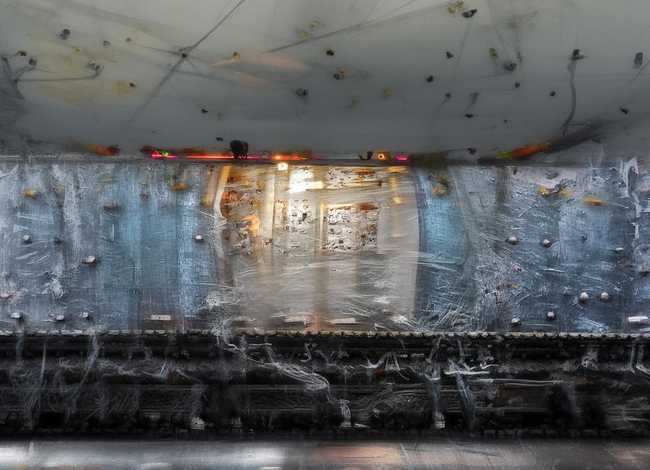 松鼠故事梗概 松鼠故事梗概50字 松鼠故事梗概 松鼠故事梗概50字