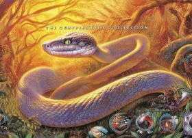 关于蛇的故事大全；关于蛇的故事大全视频