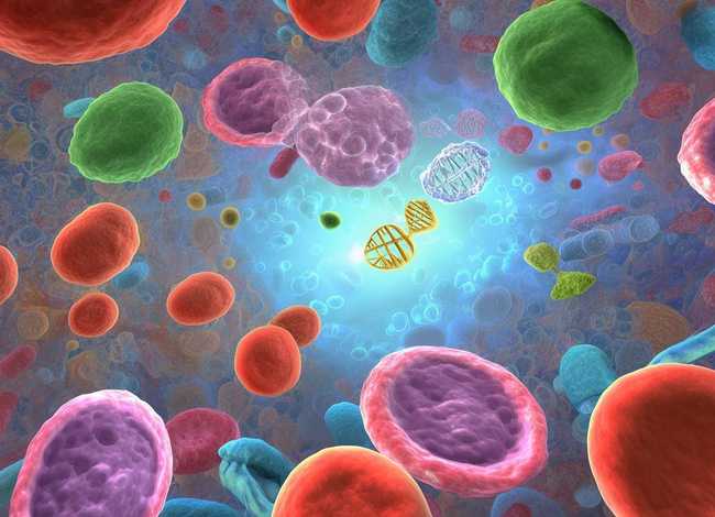 细胞的小故事(有关细胞的小故事) 细胞的小故事(有关细胞的小故事)