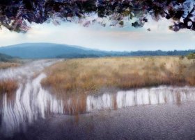 故事七只小羊的故事 故事七只小羊的故事内容