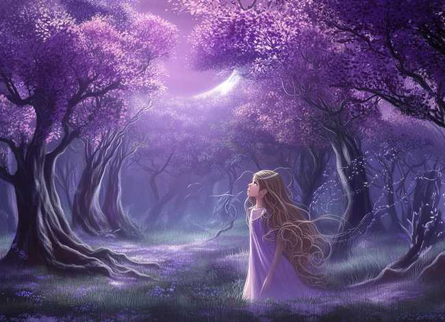 关于紫月的动画片、关于紫月的动画片叫什么