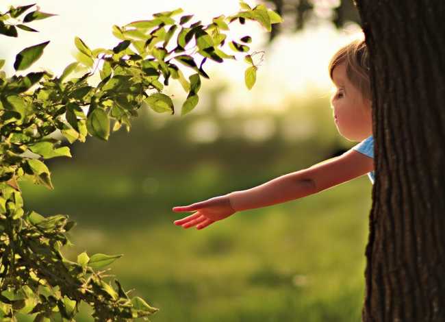 风的握手儿童故事 风的握手全文 风的握手儿童故事 风的握手全文