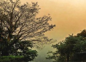 寓言故事改编幼儿故事 - 幼儿寓言故事改编200字