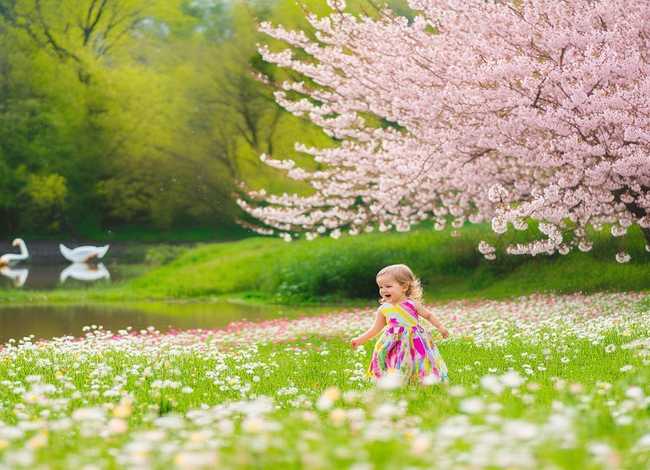 春的儿童古诗(春天的古诗30首幼儿) 春的儿童古诗(春天的古诗30首幼儿)