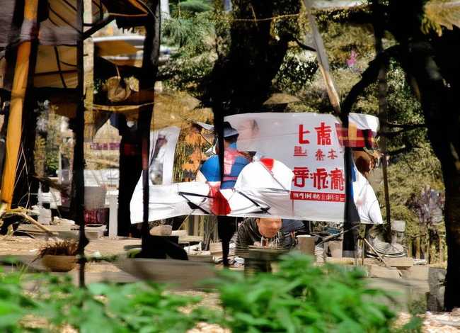 关于诚信的五个经典故事，关于诚信的五个经典故事50字