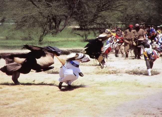 传统故事儿童完整版 经典传统故事儿童完整版 传统故事儿童完整版 经典传统故事儿童完整版