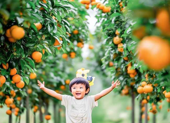 关于西瓜的儿童短故事；关于西瓜的小故事20字