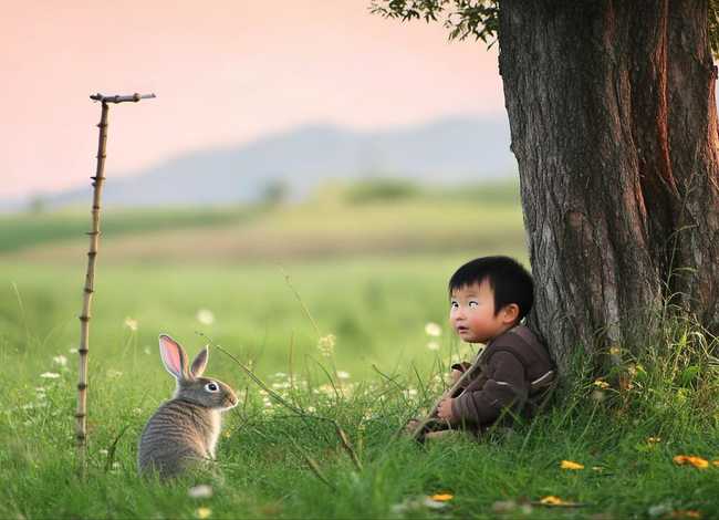 儿童成语故事守株待兔朗读，成语故事《守株待兔》