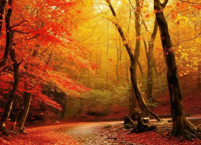 秋天的秘密完整版;秋天的秘密后续版 秋天的秘密完整版;秋天的秘密后续版