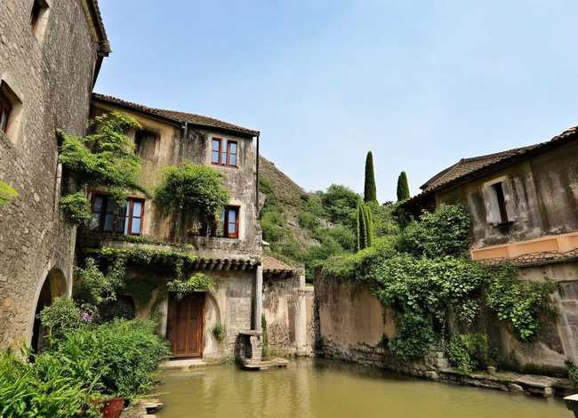 大槐树分家故事；大槐树分家故事简介