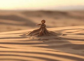 小沙粒儿童故事（小沙粒的故事）