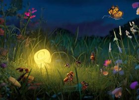 昆虫 故事（昆虫故事 睡前故事）