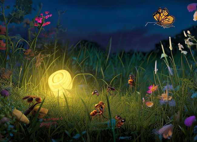 昆虫 故事(昆虫故事 睡前故事) 昆虫 故事(昆虫故事 睡前故事)