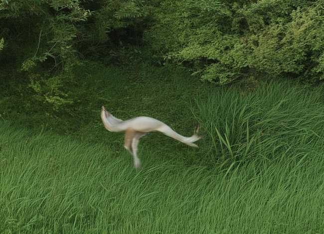 丽江故事歌曲 - 丽江原唱歌曲 丽江故事歌曲 - 丽江原唱歌曲