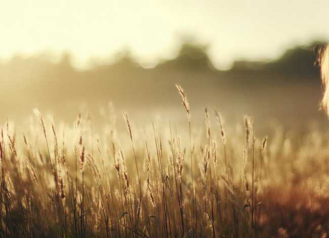 有关风的故事有哪些(有关风的故事有哪些成语) 有关风的故事有哪些(有关风的故事有哪些成语)
