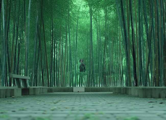 字谜故事简短20字（字谜故事简短20字加谜底）