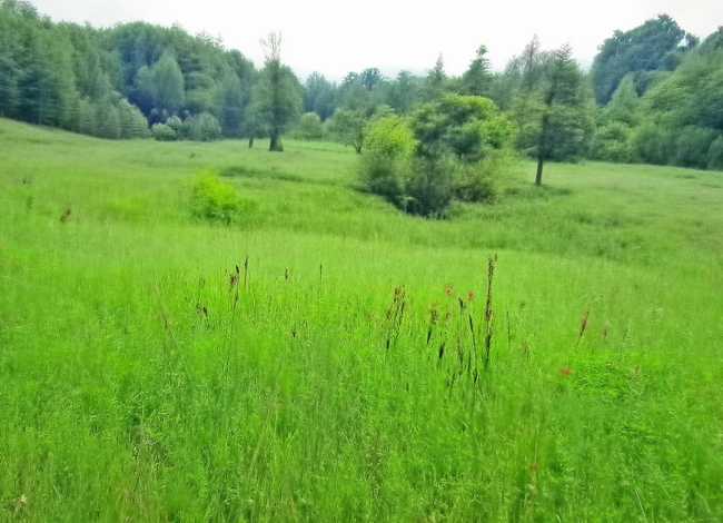 短篇儿童故事大全,短篇儿童故事大全小蜗牛 短篇儿童故事大全,短篇儿童故事大全小蜗牛