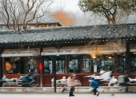 变色龙的故事大全 变色龙的故事大全50字