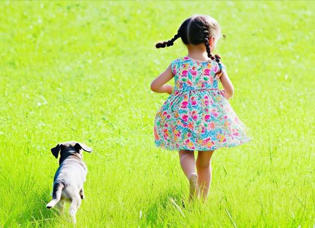 儿童简短小故事50字左右 - 儿童小故事简短50字左右带拼音 儿童简短小故事50字左右 - 儿童小故事简短50字左右带拼音