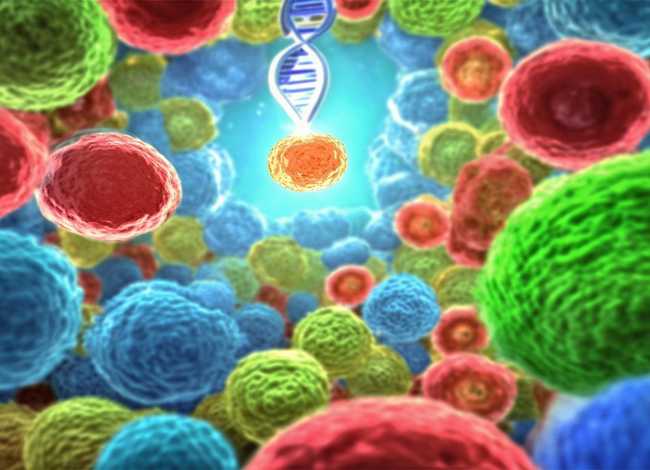 细胞的小故事(有关细胞的小故事) 细胞的小故事(有关细胞的小故事)