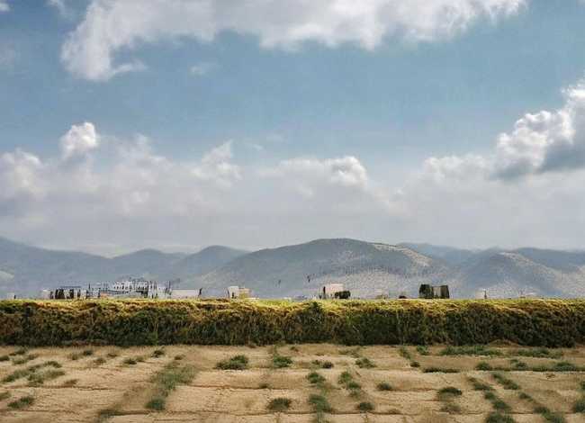 年的来历故事简介，年的来历故事简介50字