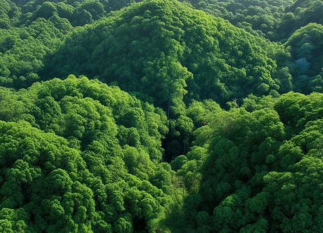 故事大全孔雀公主 故事大全孔雀公主视频 故事大全孔雀公主 故事大全孔雀公主视频