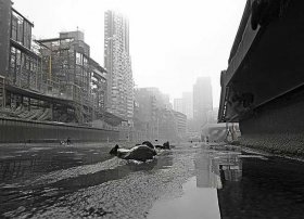 小故事拔苗助长，小故事拔苗助长50字