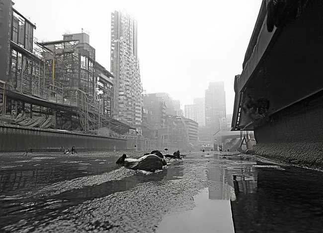 小故事拔苗助长，小故事拔苗助长50字